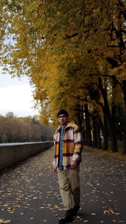 有关垂直视频, 城市公园, 後视图的免费素材视频