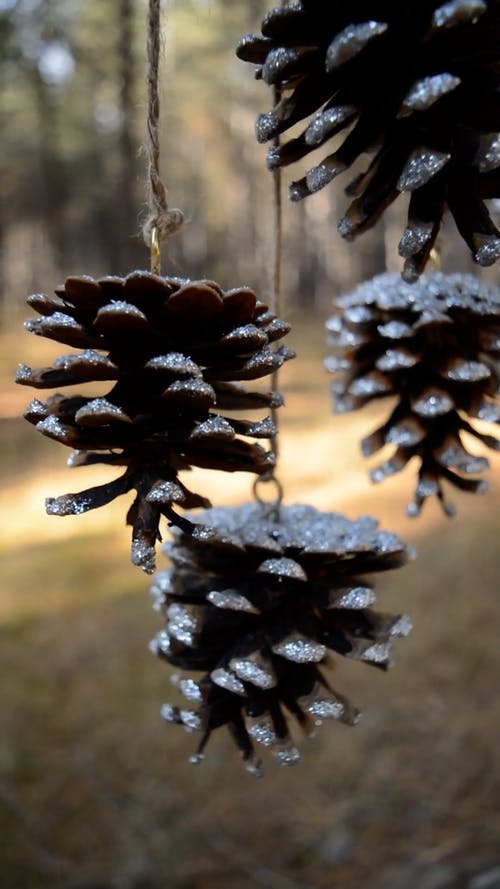 有关创造力, 垂直视频, 涂料的免费素材视频