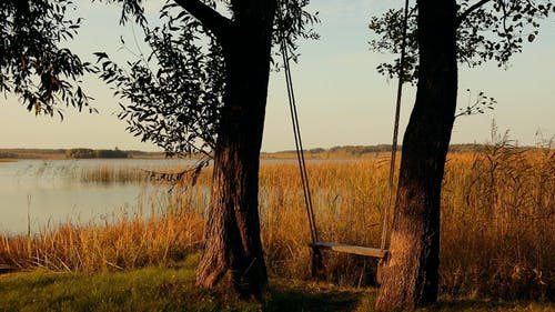 有关天性, 宁静, 户外的免费素材视频