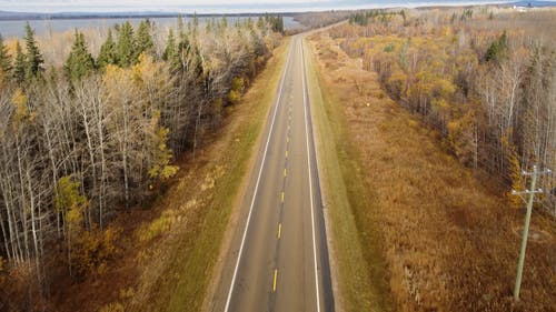 有关天性, 户外, 景观的免费素材视频