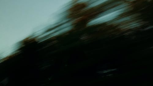 有关分公司, 剪影, 天空的免费素材视频