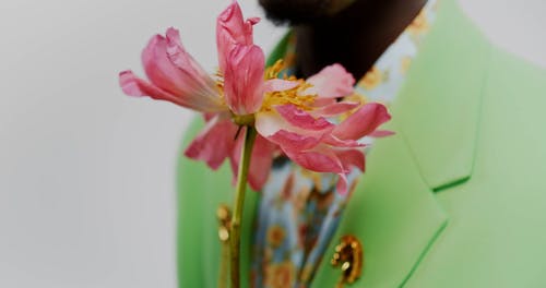 有关优雅, 套装, 工作室拍摄的免费素材视频