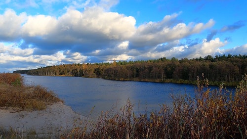 有关天性,性质,户外的免费素材视频
