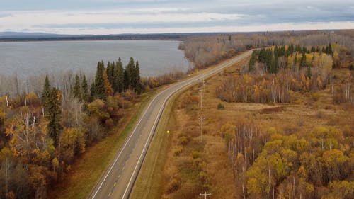 有关天性, 户外, 景观的免费素材视频