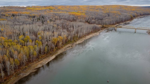 有关天性,性质,户外的免费素材视频