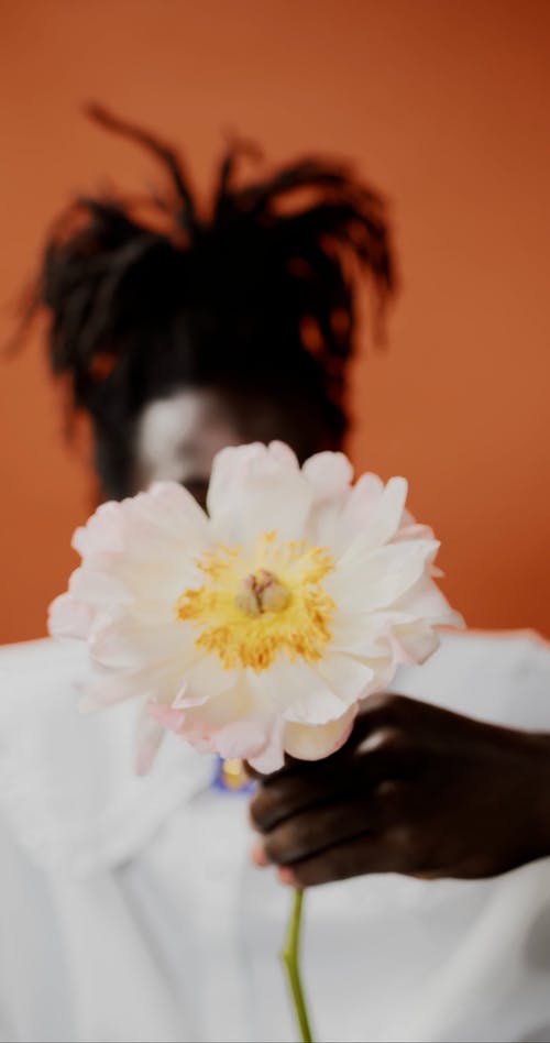 有关orange_background, 人, 坐的免费素材视频