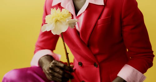 有关人, 工作室拍摄, 手的免费素材视频