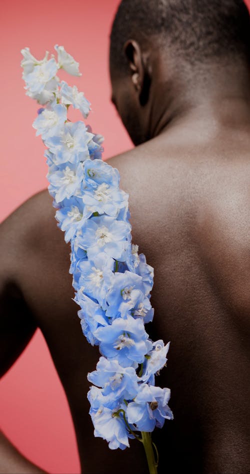 有关人, 半裸, 后背的免费素材视频