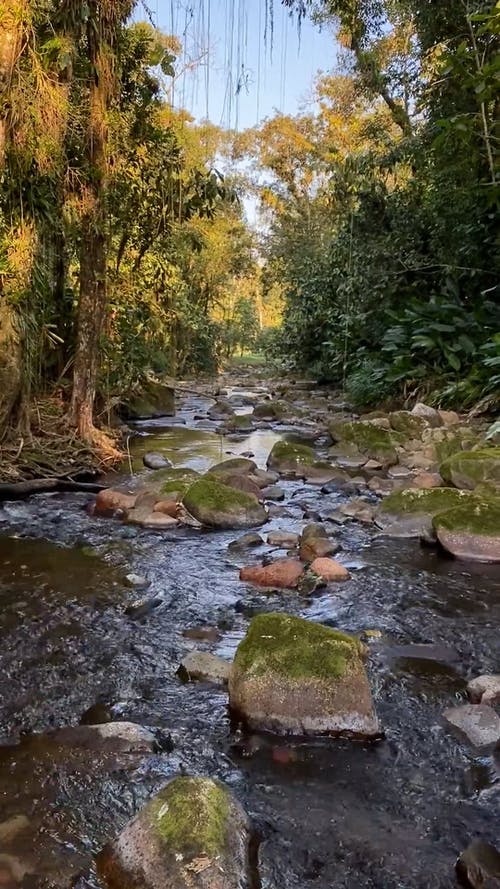有关垂直视频, 大石头, 平静的水的免费素材视频
