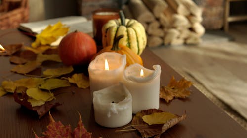 有关南瓜, 在家, 手的免费素材视频