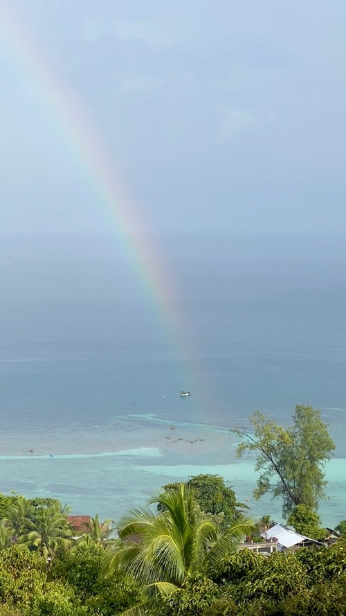 有关下雨,亚洲,垂直视频的免费素材视频