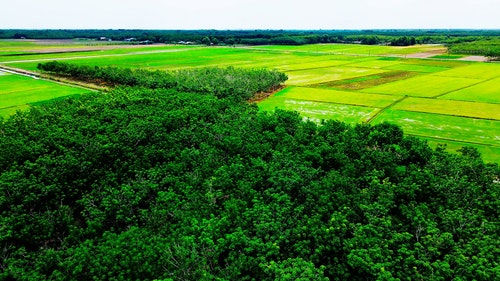 有关农村的场景,户外,拼布景观的免费素材视频