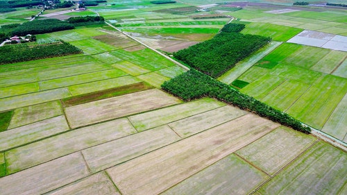 有关农村的场景,户外,拼布景观的免费素材视频