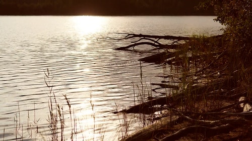 有关天性,宁静,性质的免费素材视频