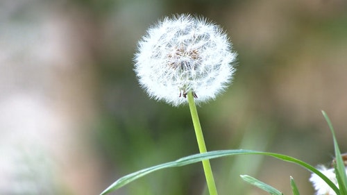 有关天性,工厂,干的免费素材视频