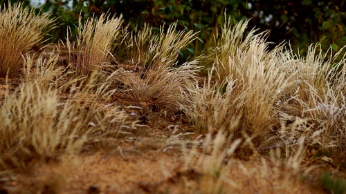 有关地面,天性,工厂的免费素材视频
