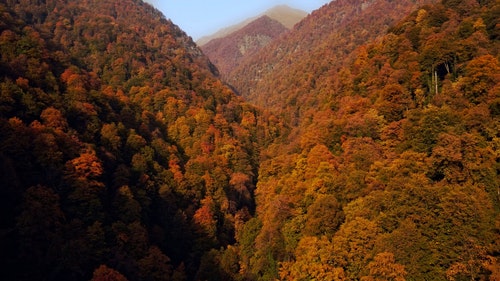 有关天性,山,山峰的免费素材视频