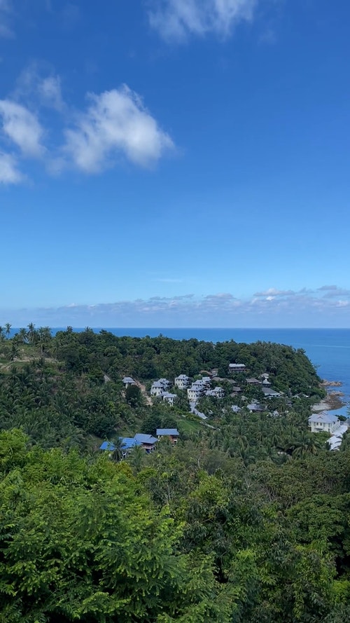 有关@户外,和平的,垂直视频的免费素材视频