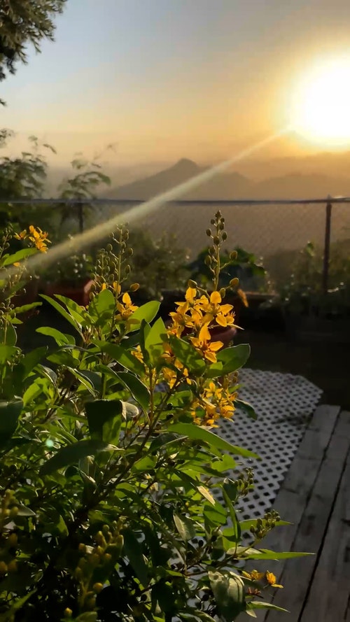 有关垂直视频,山,工厂的免费素材视频