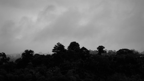 有关单色,多云的,天性的免费素材视频