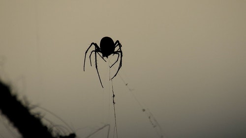 有关Web,互联网,剪影的免费素材视频