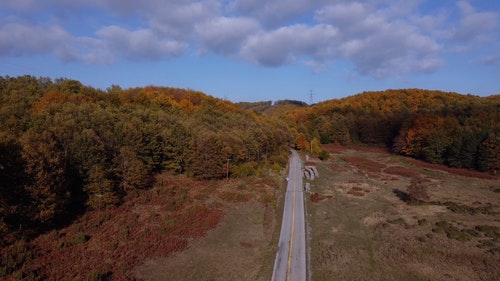 有关景观,森林,树木的免费素材视频