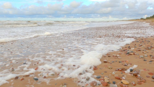 有关天性,性质,招手的免费素材视频