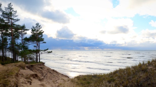 有关天性,性质,招手的免费素材视频