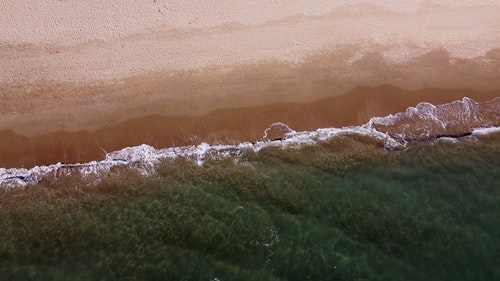 有关天性,性质,招手的免费素材视频