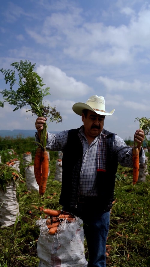 有关人,农村的场景,垂直拍摄的免费素材视频