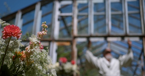 有关人,修剪花草,园艺的免费素材视频