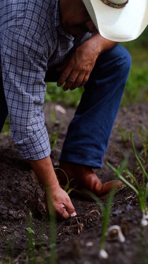 有关人,农村的场景,垂直拍摄的免费素材视频