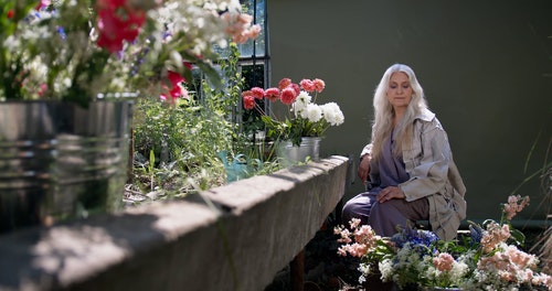 有关修剪花草,园艺,坐的免费素材视频