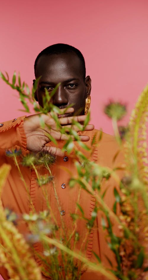 有关垂直视频, 工作室拍摄, 时尚的免费素材视频