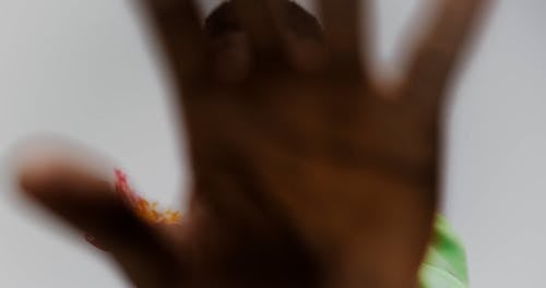 有关优雅, 套装, 工作室拍摄的免费素材视频