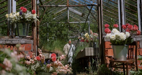 有关人,修剪花草,园艺的免费素材视频