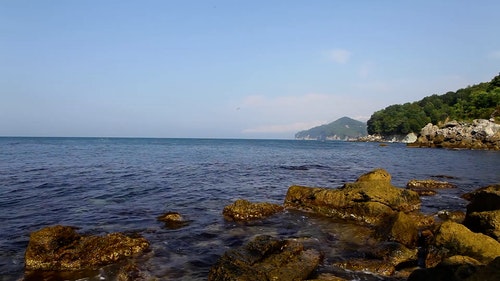 有关天性,岩石海岸,性质的免费素材视频