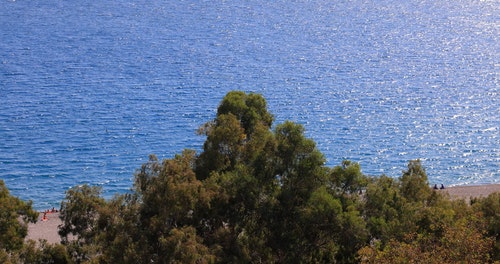 有关多风,天性,性质的免费素材视频
