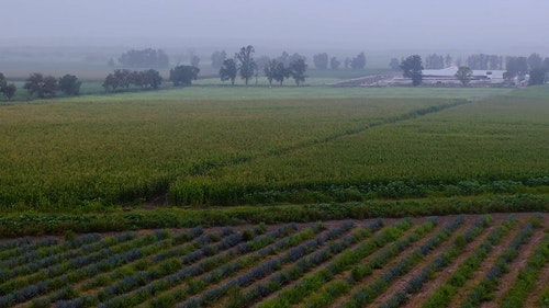 有关工厂,厂,建造的免费素材视频