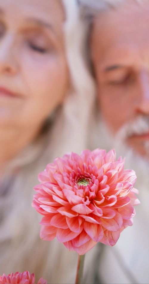 有关一起,人,修剪花草的免费素材视频