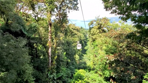 有关天性,性质,旅游的免费素材视频