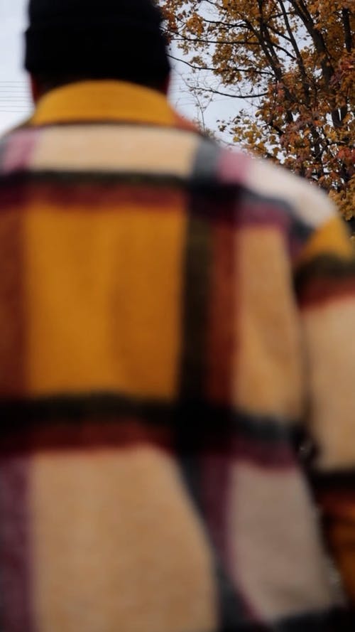 有关人, 公园, 后视图的免费素材视频