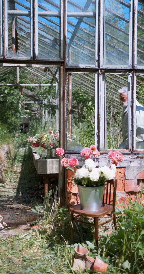 有关人,修剪花草,园艺的免费素材视频