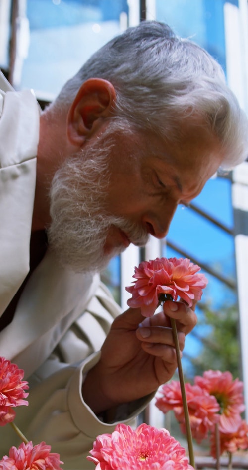 有关人,修剪花草,园艺的免费素材视频