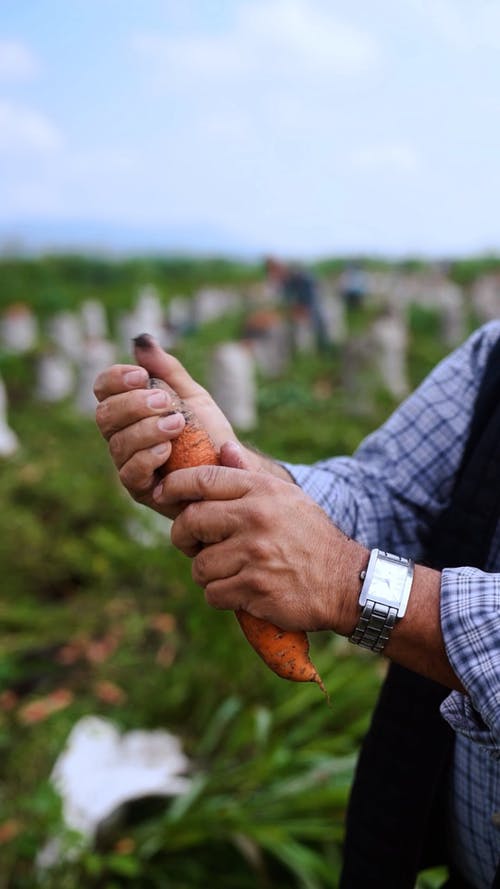 有关人, 戶外, 手錶的免费素材视频