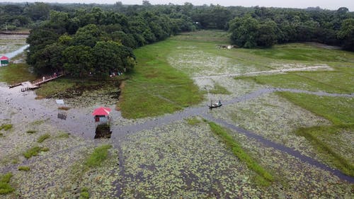 有关一小群人, 划船, 划艇的免费素材视频