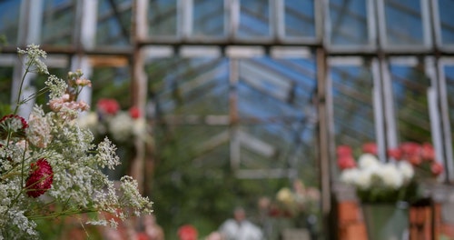 有关人,修剪花草,入口的免费素材视频