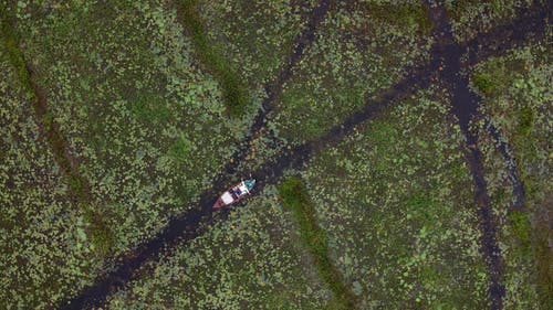 有关一小群人, 划船, 划艇的免费素材视频