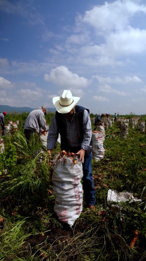 有关人,农村的场景,垂直拍摄的免费素材视频
