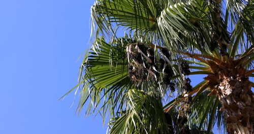 有关低角度拍摄,多风,天性的免费素材视频